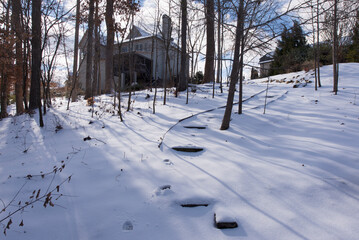 Woodland barrier in winter with large residential homes in the background. Winter holidays and home ownership concept.