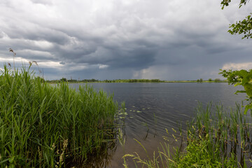 lake and trees on the shore before a storm
