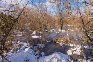 A serene winter scene of a forest with snow-covered ground and a partially frozen pond under a blue sky
