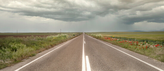 Straight rural road stretching into the distance, flanked by fields and wildflowers, under an...