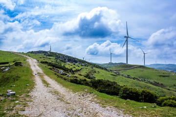 Green prairie under blue sky and white clouds