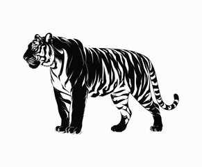 Fototapeta premium Wild animal tiger silhouette EPS vector isolated illustration template on a white background