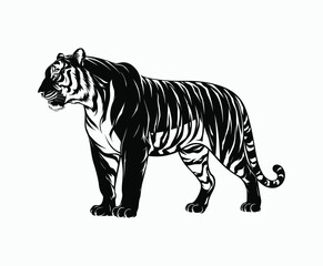 Fototapeta premium Wild animal tiger silhouette EPS vector isolated illustration template on a white background