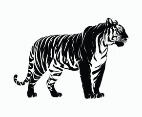 Fototapeta premium Wild animal tiger silhouette EPS vector isolated illustration template on a white background