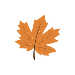 Illustration of an colored autumn leaf, symbolizing fall season and nature's beauty in autumn