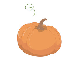 Autumn pumpkins with green leaves. Harvest, fall decor, Thanksgiving or Halloween illustration