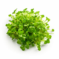 cress isolated on a white background