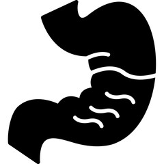 Stomach Hormones Icon