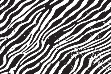 Grunge Zebra Stripe Texture - Abstract Black and White Pattern Background