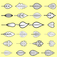 Doodle leaf brush set in illustrator.
