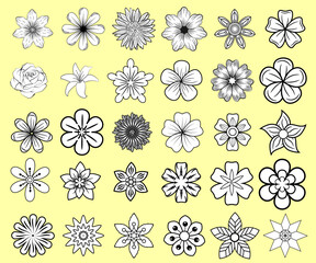 Doodle flower brush set in illustrator.