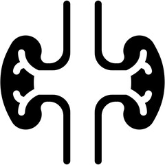 Kidney, Biology, Healthcare and Medical, Organ, Body Part Icon
