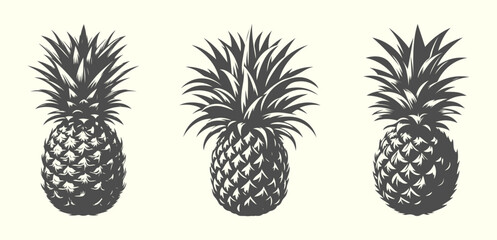 Silhouette of pineapple. Juicy pineapple vector illustration for summer, food, and nature design.