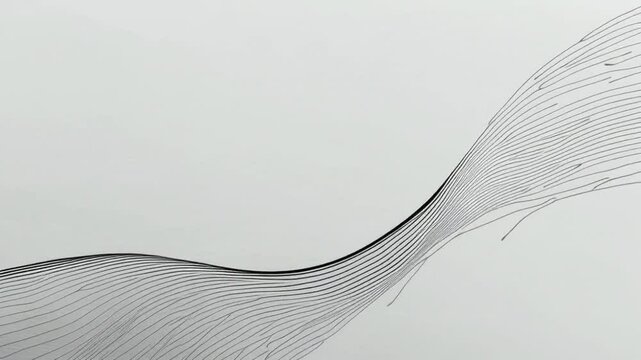 Abstract black and white lines creating a wave shape on a white background.