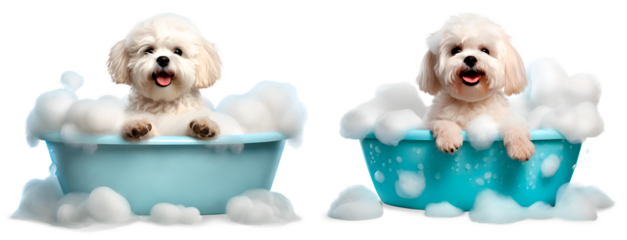 Set of Cute little Shih-Tzu dogs in a bath with foam, isolated on transparent background, cute pet concept, realistic 3D illustration, generative ai