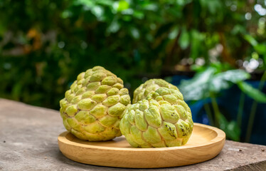 Fototapeta premium Light green custard apples are placed on a wooden plate
