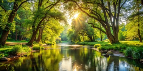 Obraz premium The river's gentle flow soothes the senses as lush greenery sways softly in the breeze, while sunlight filters through the trees in warm, dappled patterns.