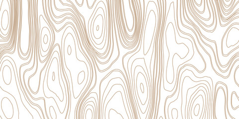 Topographic pattern texture. Brown contours vector topography. Geographic mountain topographic. Map on land strok terrain. Elevation graphic contour height