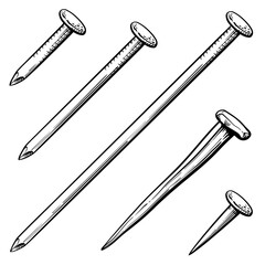Long and short metal nails. Vector illustration of nails.