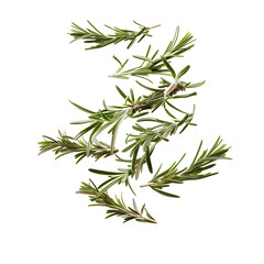 Floating dried rosemary