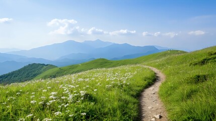 Naklejka premium Spring Break Adventure in Nature - Scenic Mountain Trails with Blooming Flowers for Peaceful Exploration and Breathtaking Viewpoints