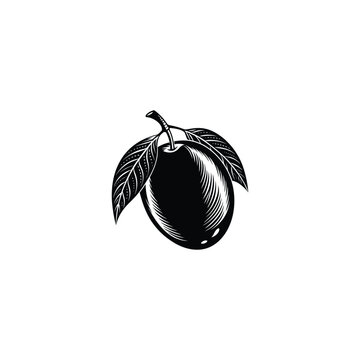 black plum leaves white background clip art preview