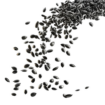 Floating black sesame seeds