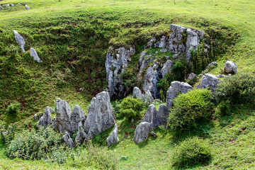 The green grasslands and lush green grass are beautiful.