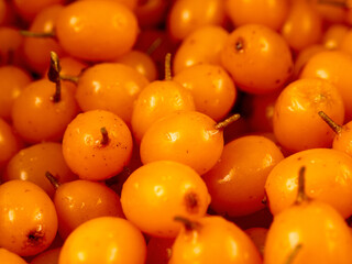 Close-up of bright orange sea buckthorn berries tightly clinging to a branch with green leaves. The berries look fresh and juicy, creating a rich and attractive visual