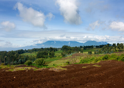 Volcanoes national park, Northwest Province, Rehengeri, Rwanda