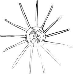 Sun brush strokes. Ink elements