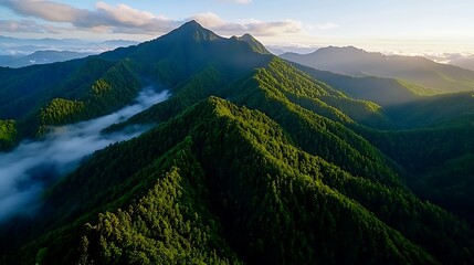Fototapeta premium The sunrise casts a golden glow over the mountain range, fog and clouds drifting peacefully.