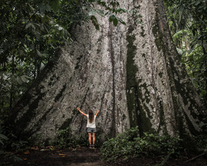 mulher ao lado de suma&uacute;ma gigante em alta floresta, mato grosso 