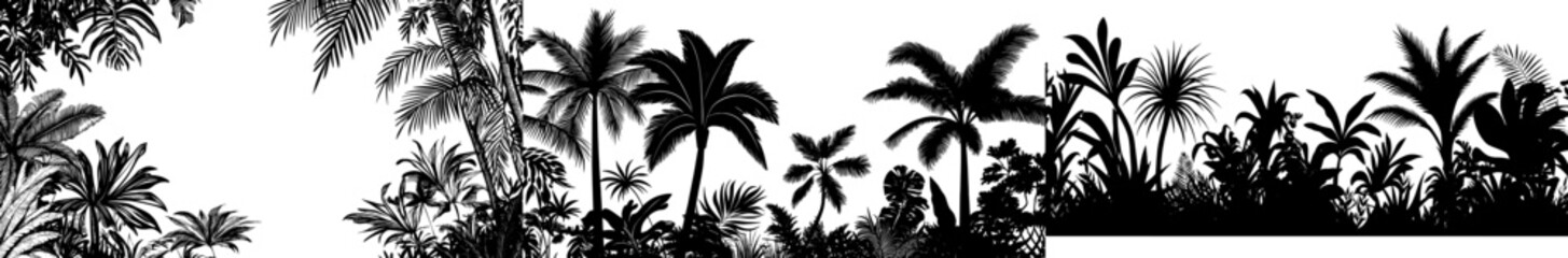 Vintage botanical landscape, palm tree, banana tree, plant floral black and white seamless border white background. Exotic jungle wallpaper.