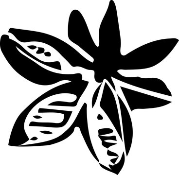 recommend clip art: Hand-drawn star anise silhouette