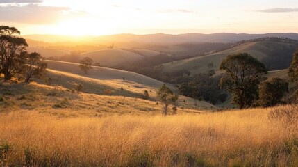 Obraz premium A beautiful sunrise over the rolling hills of Ackmon National Park, with golden light casting long shadows across the landscape.