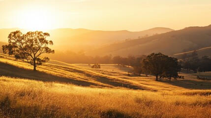 Obraz premium A beautiful sunrise over the rolling hills of Ackmon National Park, with golden light casting long shadows across the landscape.