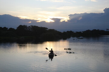 Fototapeta premium homem remando em caiaque na baia de sia mariana, pantanal em barão de melgaço, mato grosso 