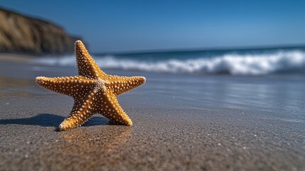 A lone starfish on the sandy shore, bathed in the glow of a summer day The gentle waves of the ocean lap at the shore, creating a tranquil scene