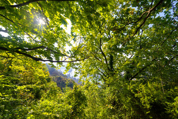 GR2 hiking path on the Andelys cliffs. Normandy region
