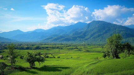 Fototapeta premium A scenic shot of the mountains and rice terraces in Pai, a backpacker paradise in northern Thailand.