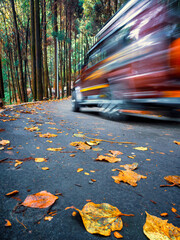 autumn leaves on the road with a passing car