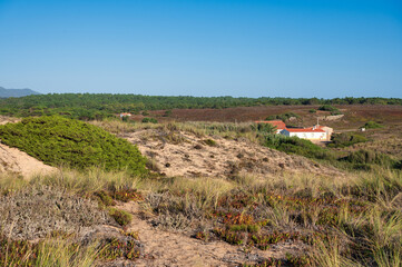 Arrifana beach in alentejo Portugal