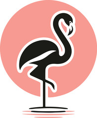 flamingo illustration