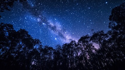 Naklejka premium The expansive night sky over Ackmon National Park, filled with stars and the faint glow of the Milky Way above the treetops.