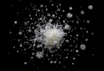 Mold spores These dust particles are actually mold spores small