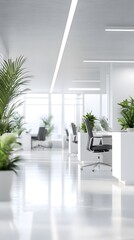 Modern Minimalist Office Space