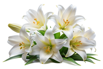 White lily bouquet with green leaves and delicate petals