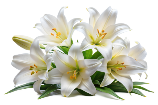 White lily bouquet with green leaves and delicate petals
