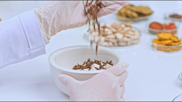 Experimental video sample with a close-up of a scientist dropping cloves into a white mortar containing poria cocos wolf placed on a table, surrounded by herbal ingredients contained in petri dishes.